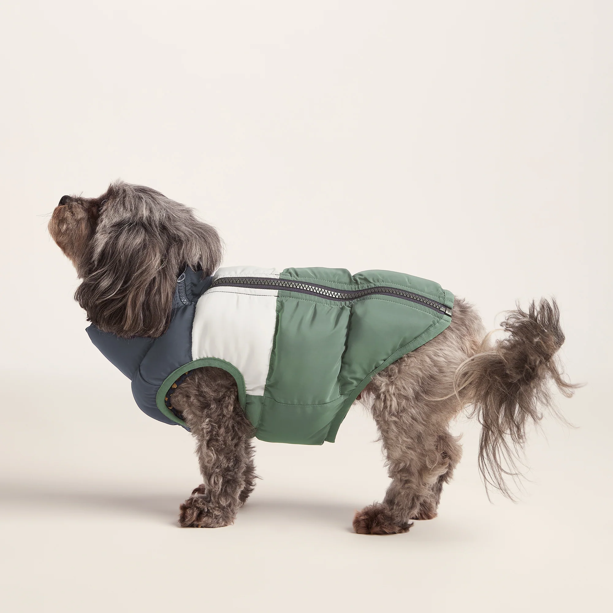 Fetch Padded Dog Coat XS - Dark Indigo/Vanilla/Light Forest - Image 3