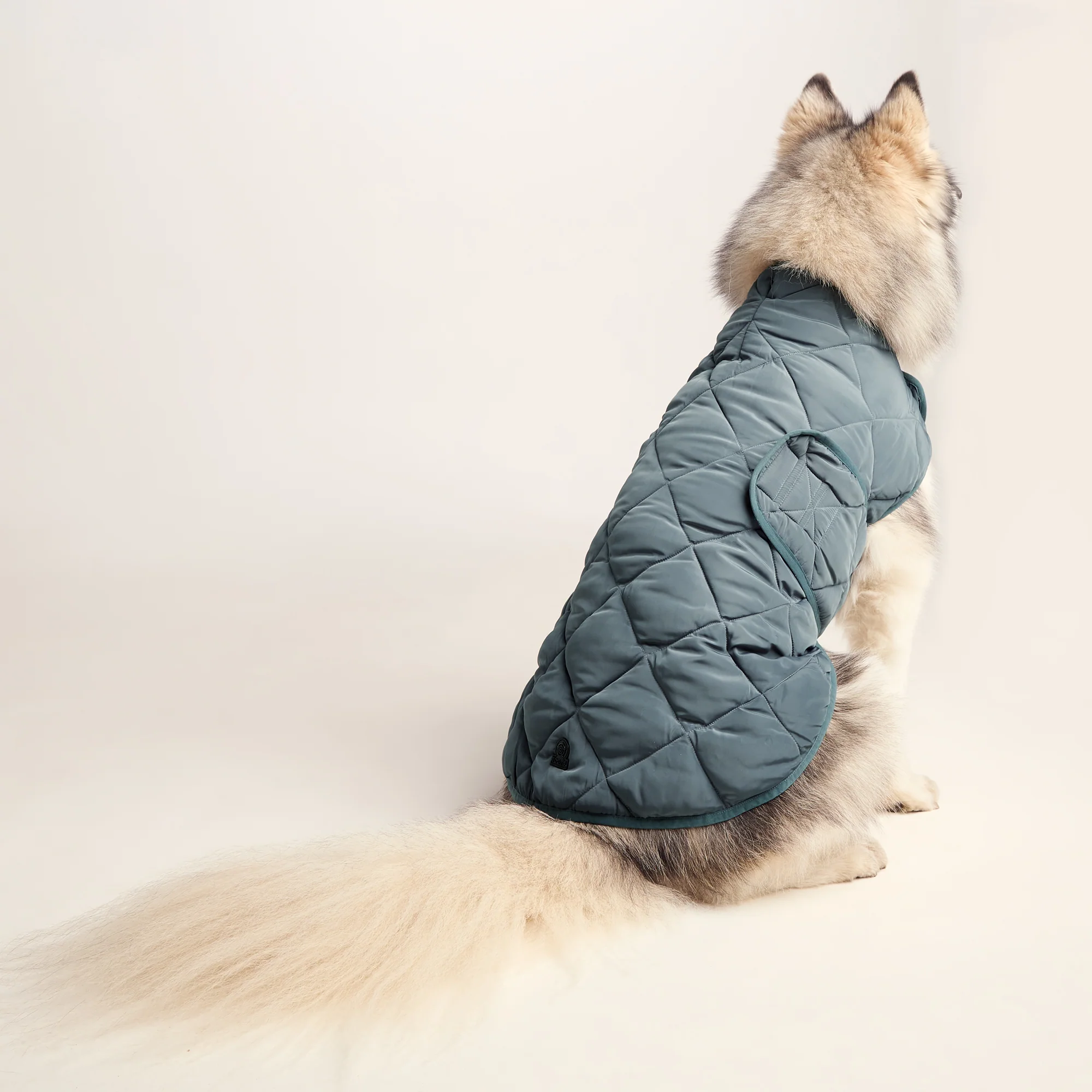Fido Padded Dog Coat L - Graphite - Image 2