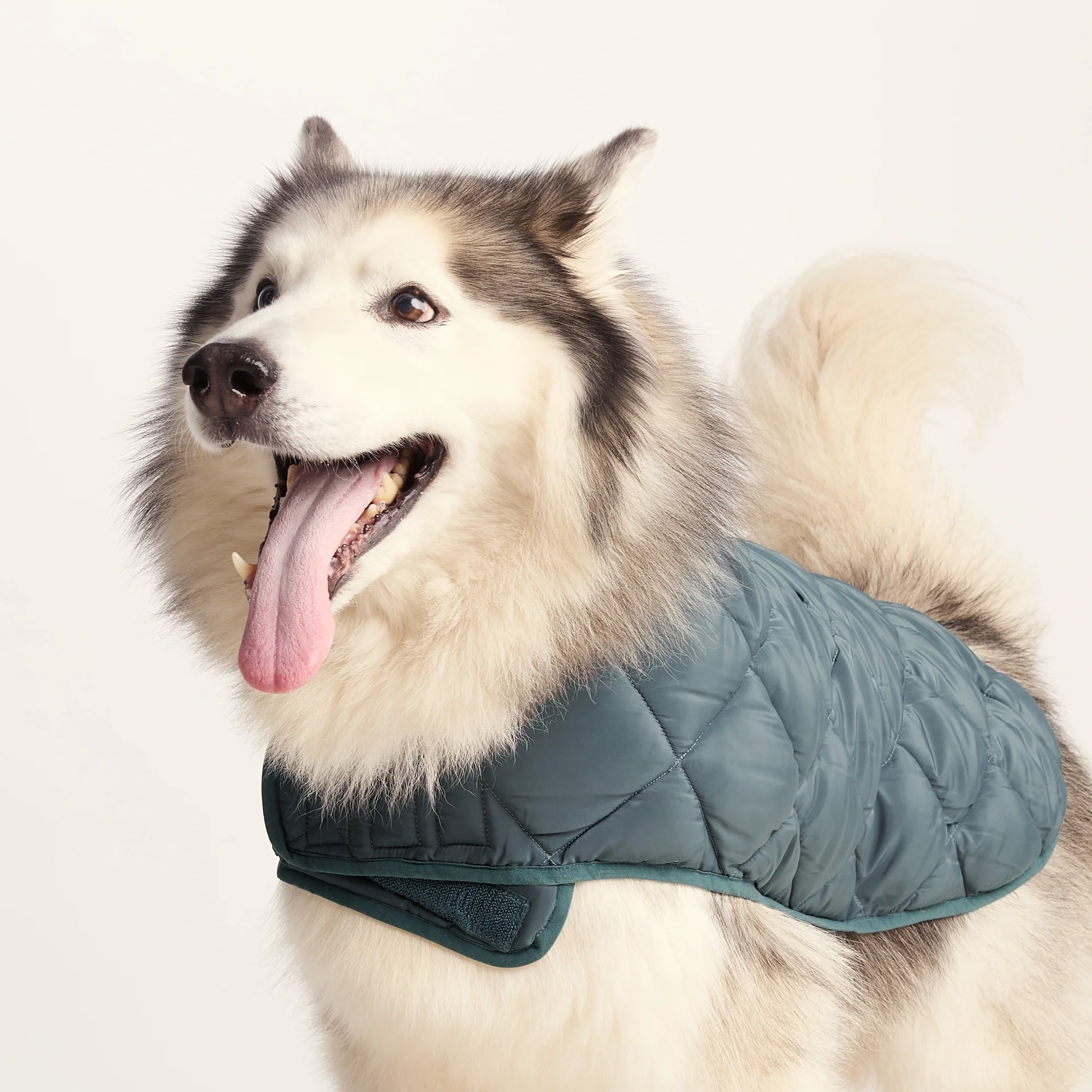 Fido Padded Dog Coat L - Graphite - Image 6