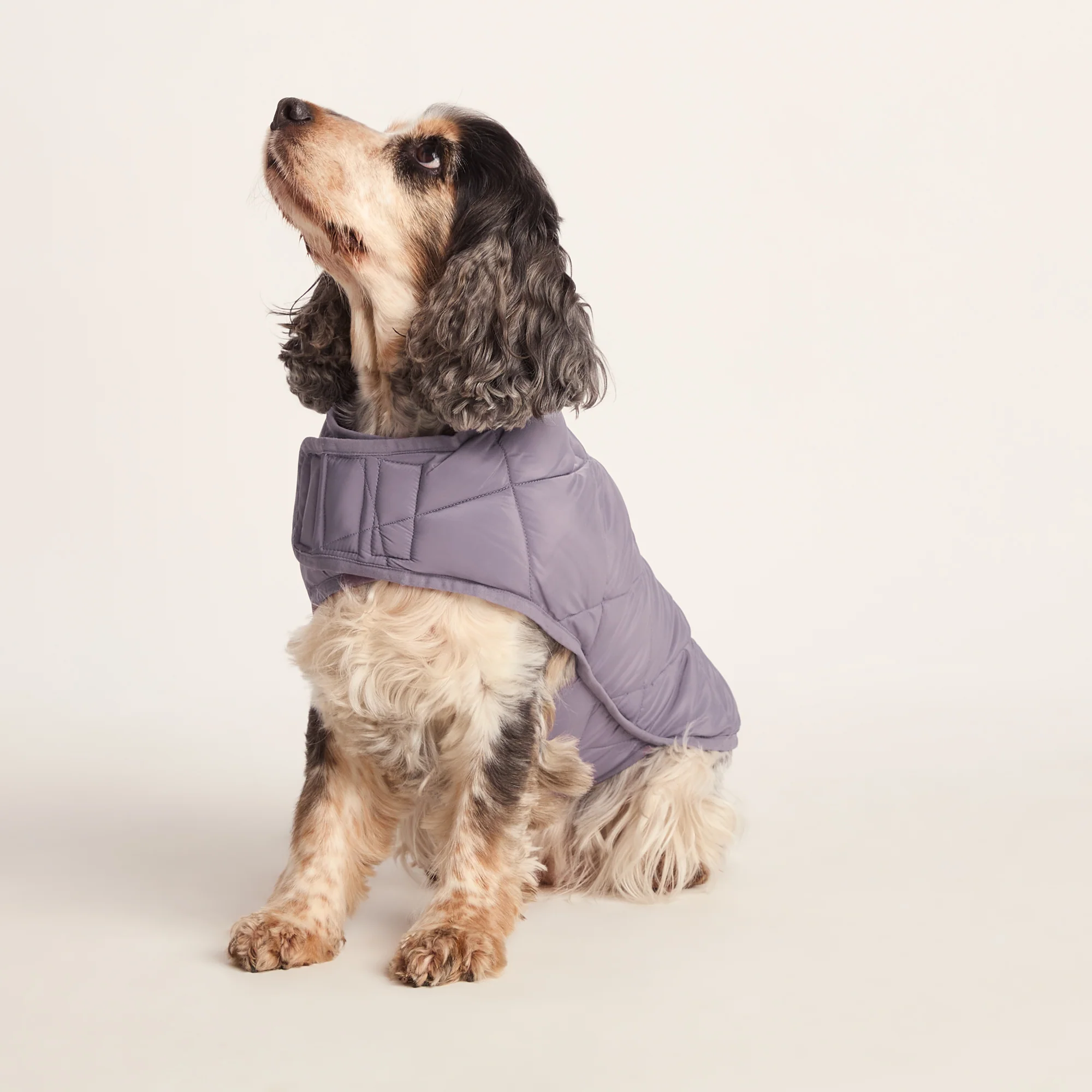 Fido Padded Dog Coat M - Dusky Lilac