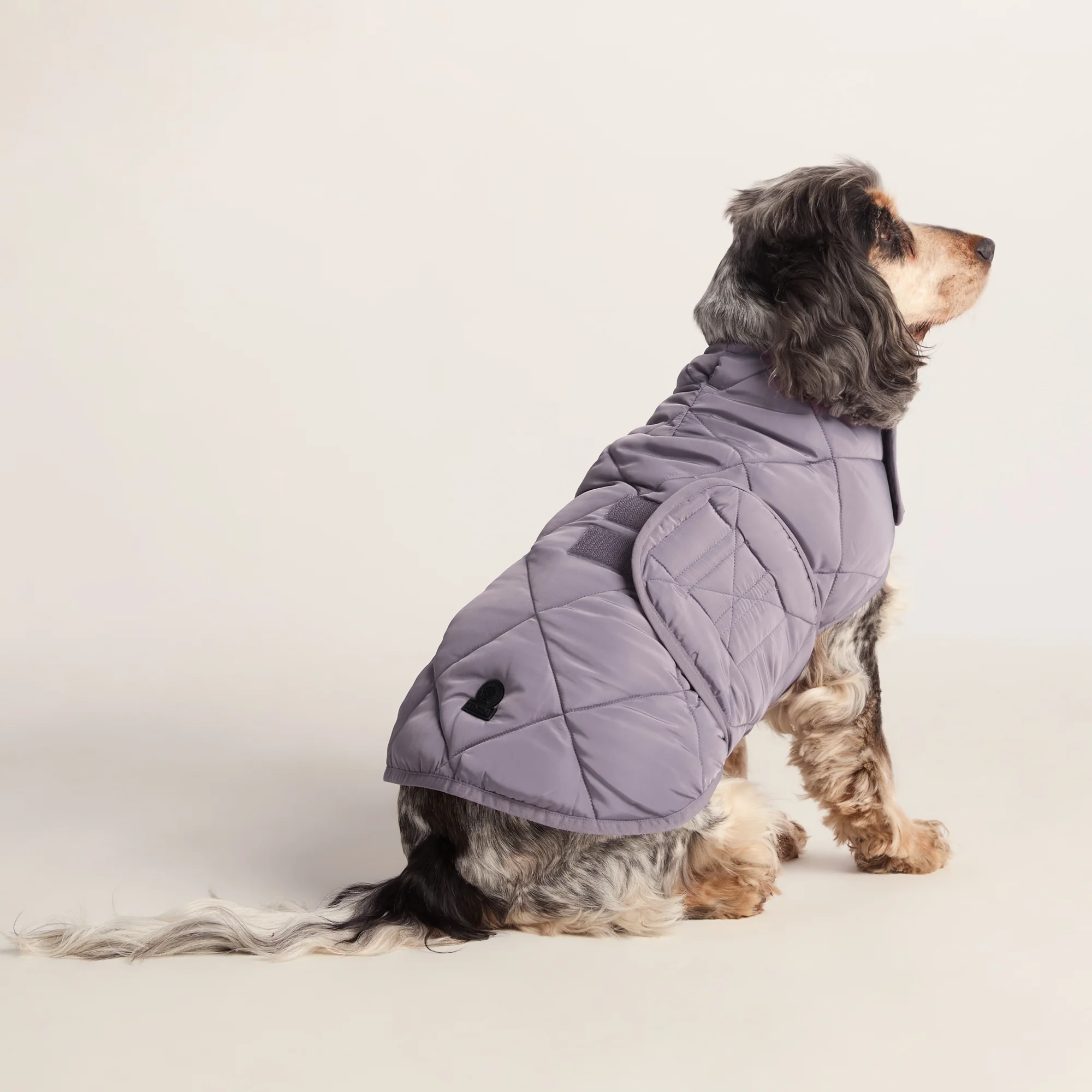 Fido Padded Dog Coat M - Dusky Lilac - Image 2