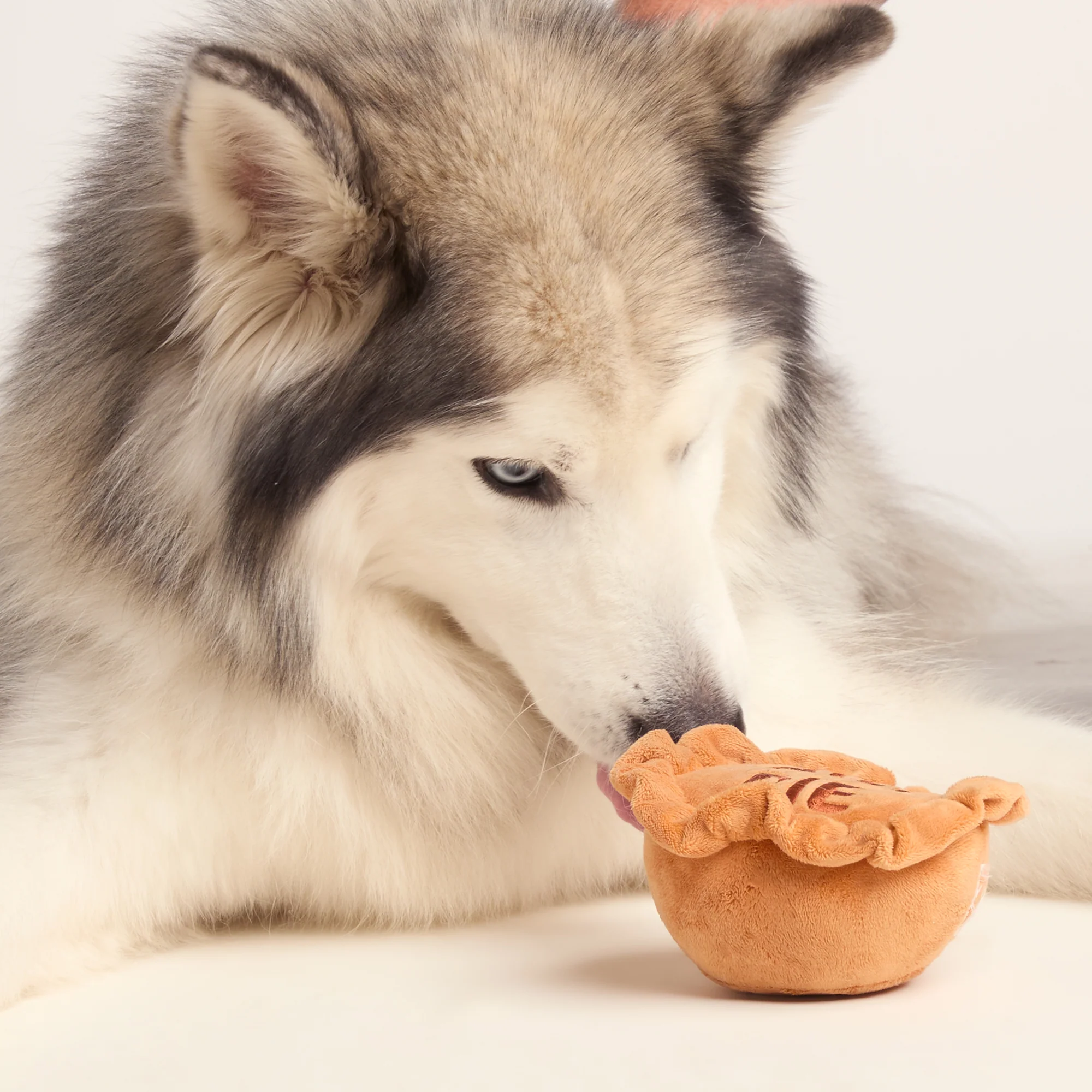 Pawk Pie Dog Plush Toy - Brown - Image 2