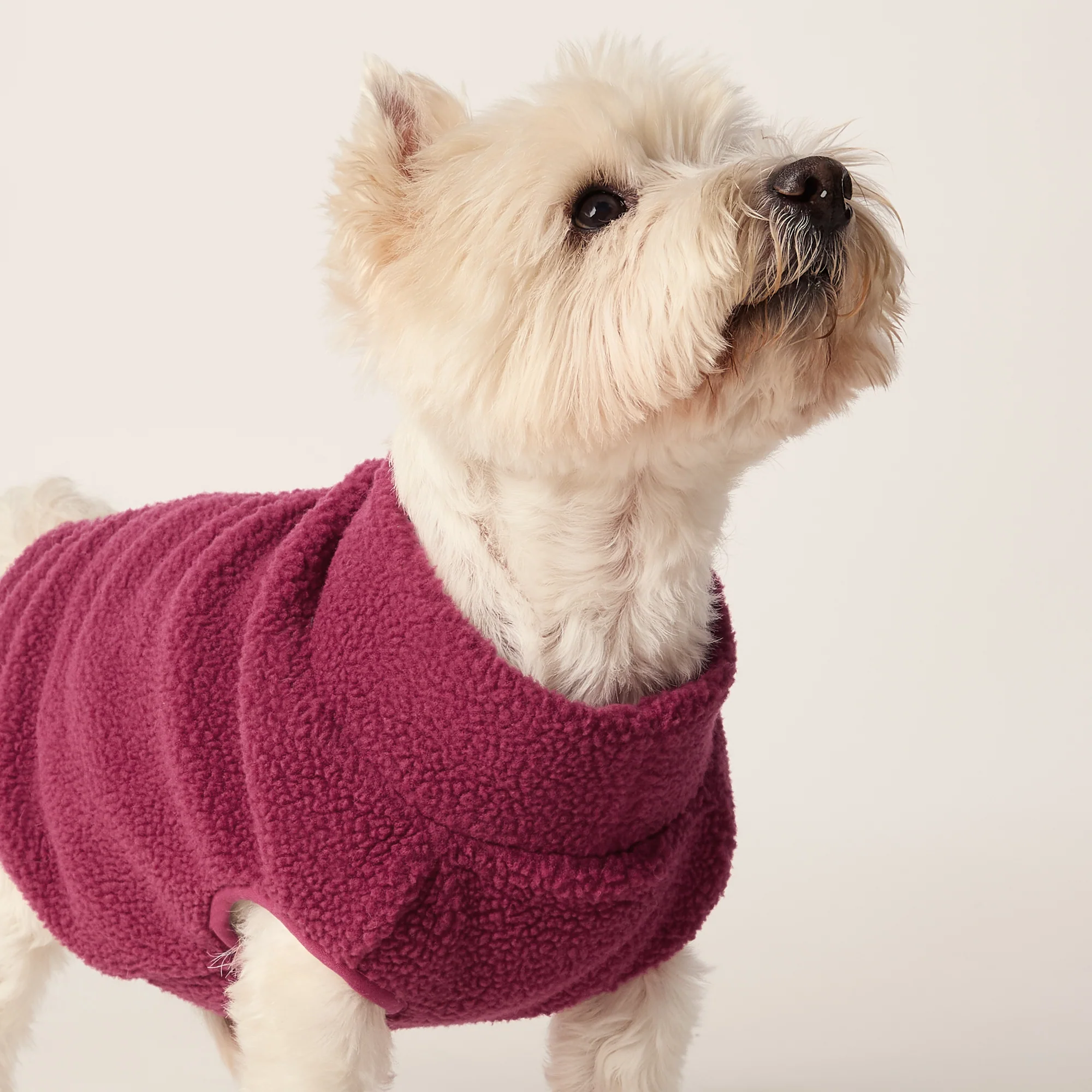 Rover Sherpa Dog Coat S - Washed Burgundy - Image 5