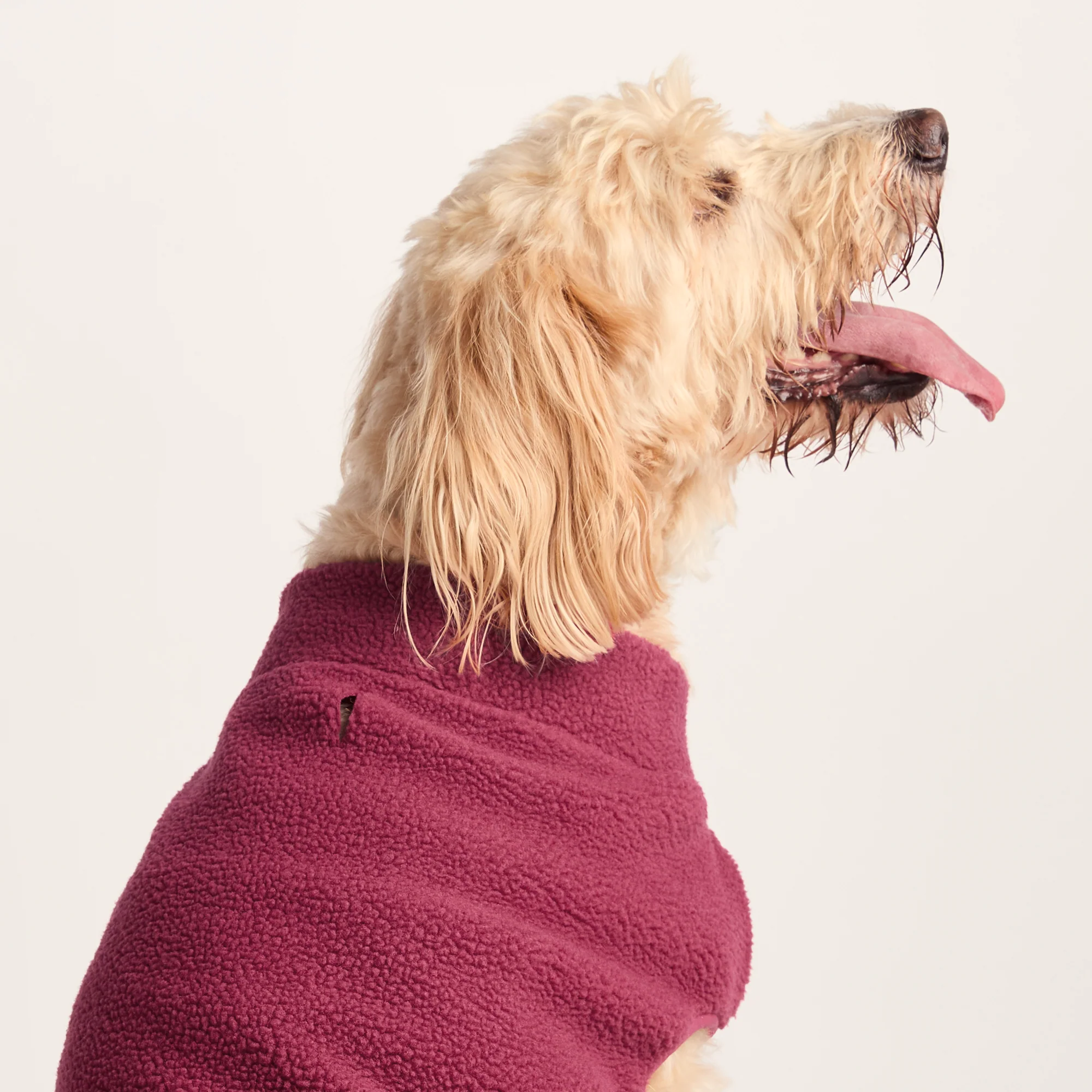 Rover Sherpa Dog Coat XL - Washed Burgundy - Image 3