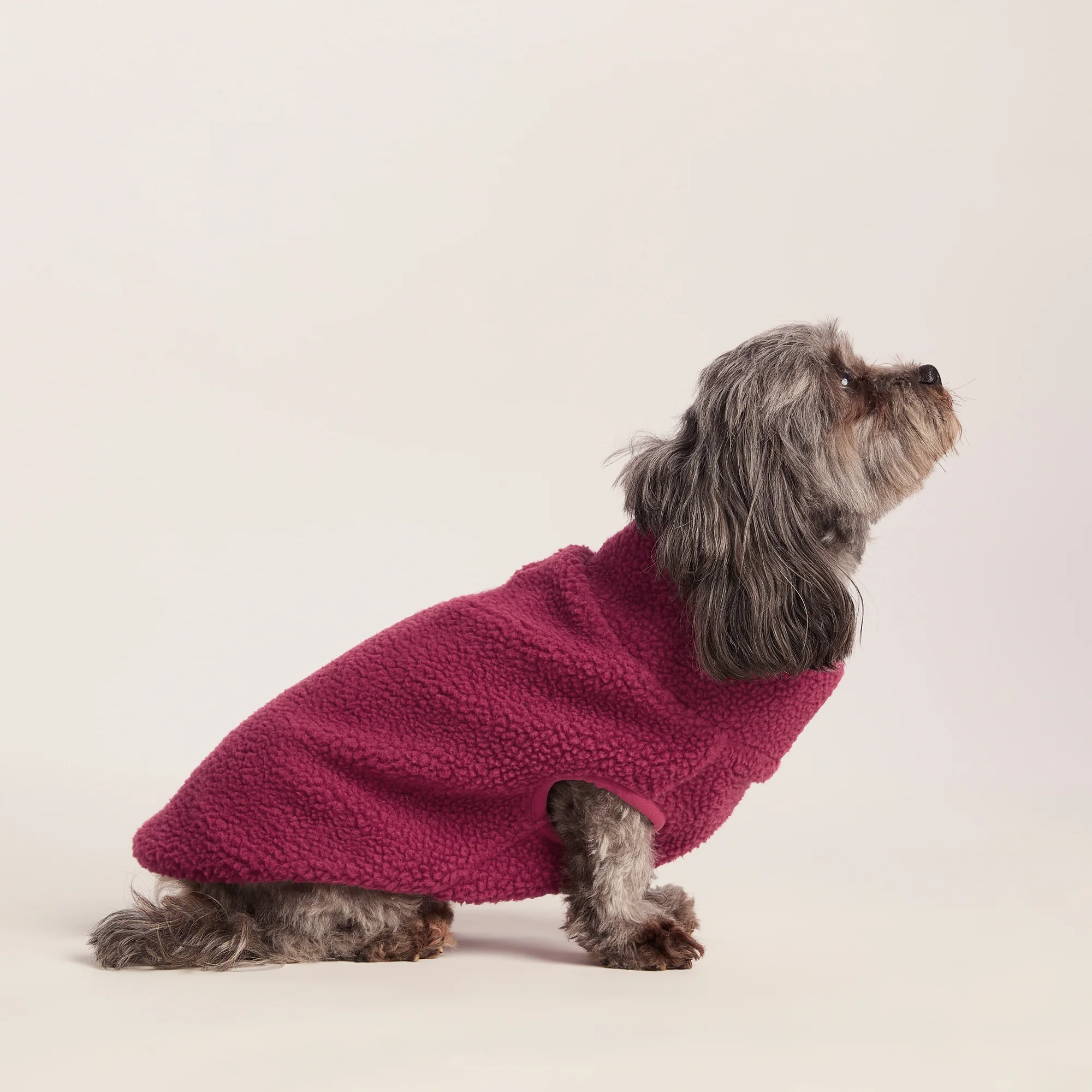 Rover Sherpa Dog Coat XS - Washed Burgundy - Image 4